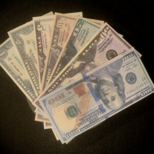 Burning Money (10 bills) - US Dollars