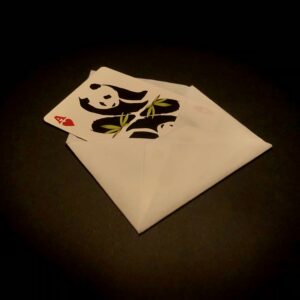 Flash Envelopes - 6 envelopes